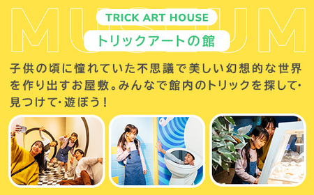 那須とりっくあーとぴあ 3館共通券（大人2人 小人2人）｜ トリックアート チケット 券 入場券 観光 国内旅行 ファミリー 家族 那須 栃木県 那須町〔D-84〕