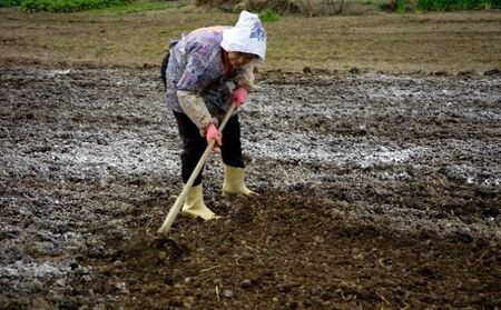 ［国産］成犬用　ヨシオカドッグフード ワンちゃん用 愛犬用 1才半から カラダの維持期用 丸粒 国産原材料 酸化防止剤不使用 防腐剤不使用 