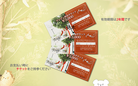 アンジュ利用券　9,000円分 