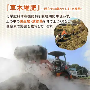  むかし野菜の邑　大分市産直　自然栽培の野菜セット F01005