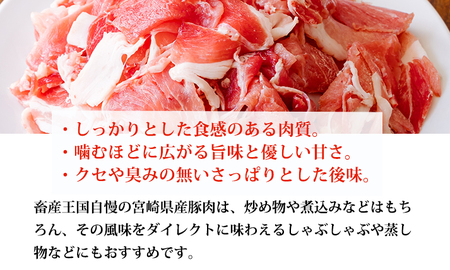 高原育ちの宮崎県産豚肉切り落とし＆ミンチ1.5kg おいしさお試しアレンジ色々 TF0765-P00070