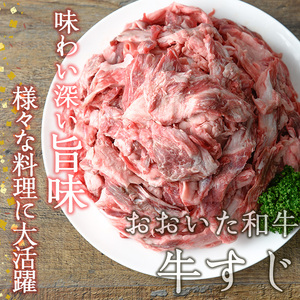 ＜訳あり＞おおいた和牛 牛すじ (計1.6kg・400g×4P) 国産 牛肉 肉 牛スジ すじ肉 和牛 ブランド牛 煮込み カレー おでん 冷凍 大分県 佐伯市【DH264】【(株)ネクサ】