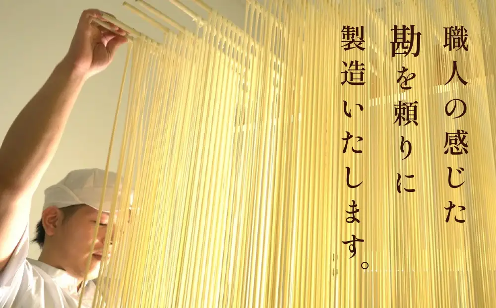 美乃氷見うどん5本入つゆ付き（200g×5本）  |  手延べ 細麺　うどん