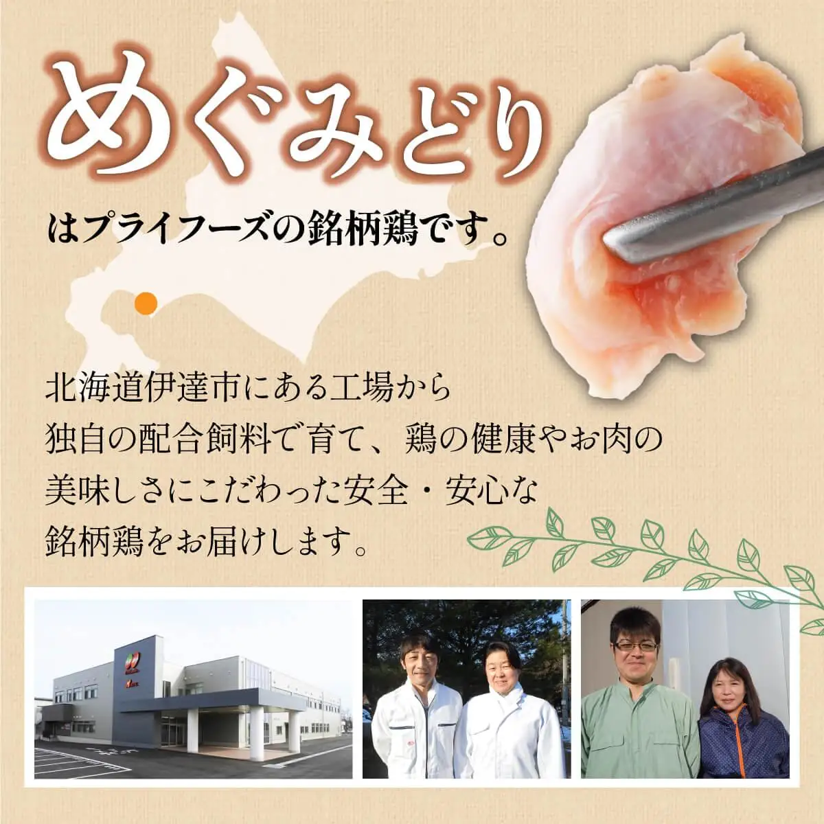 [5525-0954]北海道産 定期便 9ヵ月 連続 9回 めぐみどり モモ 切身 300g 6袋×9ヶ月 計16.2kg 鶏もも 鶏モモ もも 鶏肉 チキン 銘柄鶏 肉 冷凍 小分け 便利 時短 唐揚 焼鳥 鍋 ソテー プライフーズ 送料無料 伊達