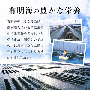 [福岡有明のり]有明海苔 味海苔 大丸ボトル10切80枚6本セット 味海苔【015-0013】
