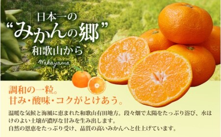 みかん 訳あり 有田みかん 約7.5kg 【nuk157F】