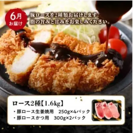 【発送月固定定期便】鹿児島県産 カミチク豚 定期便(南九州市)全4回【配送不可地域：離島】【4081547】