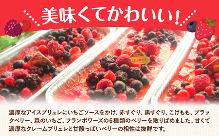 【低糖質スイーツ】糖質 3.8g！フリュイルージュの カタラーナ約260g×1個 