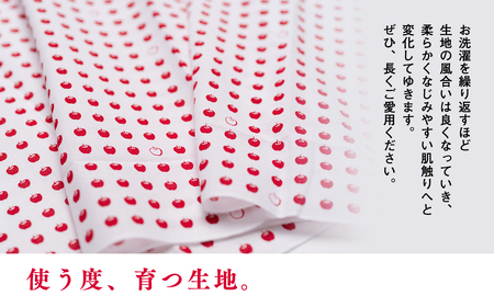 【レビューキャンペーン】りんごの豆しぼり 晒[hi-0026-001]