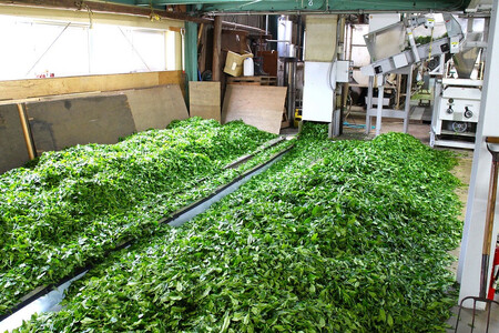 狭山銘茶　江戸の道 HAD002