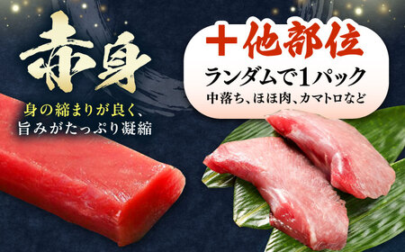 対馬産 生 本マグロ 800g （赤身、中トロ、大トロ） [WAH026] 中トロ 大トロ まぐろ マグロ 鮪