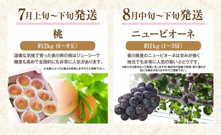 【定期便全6回】フルーツ定期便 (桃 ニューピオーネ シャインマスカット 小原紅早生みかん 不知火 せとか)【旬 人気 果物 くだもの もも ぶどう マスカット みかん でこぽん せとか 柑橘 香川県 さぬき市】