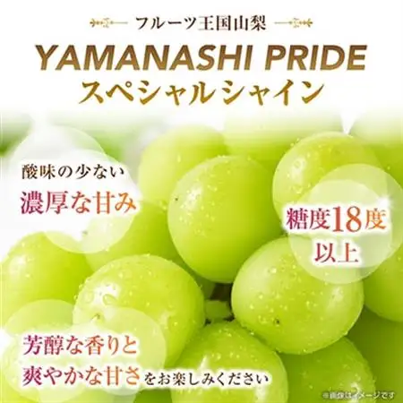 2026年発送 フルーツ王国山梨産厳選 シャインマスカット 3～4房(約1.5kg)【配送不可地域：離島】【1501767】