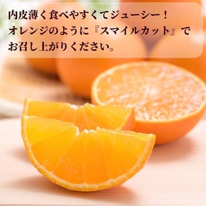 【2026年先行予約】 愛果28号 バラ詰め 5kg 紅まどんなと同一品種 みかん 【2026年12月以降順次発送予定】 愛媛 数量限定 愛媛県産 人気 柑橘 伊予市｜C57