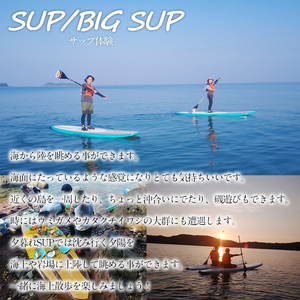 ＜選べるアクティビティと人数＞happy smile farm アクティビティ体験チケット(サーフィン or SUP or BIG SUP or リバートレッキング or 登山/2名様or3名様) サーフィン サップ リバトレ レジャー 自然 マリンスポーツ アウトドア 山登り【落合ぶどう園】akn025-03