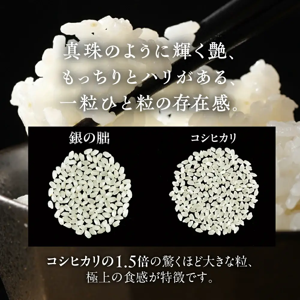 新米予約受付【定期便】【2026年11月から】2kg×6回【2026年産米】銀の朏≪テレビで紹介!!幻の米≫【13-27】