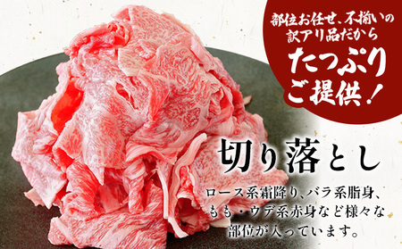 飛騨牛 切り落とし 500g（250g×2P） A5 A4 国産 牛 黒毛和牛 和牛 牛肉 薄切り 訳あり 牛丼 すき焼き しゃぶしゃぶ 肉のひぐち