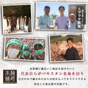 クレールソルト(パウダー・1kg) クリスタルソルト 岩塩 塩 食塩 調味料 ミネラル 小粒塩 熱中症対策【梅研本舗ジャパン】akn047-06