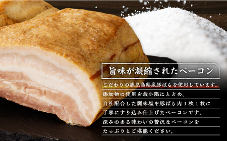 無塩せき乾塩ベーコンブロック 計約1kg K161-020_01 肉 豚肉 惣菜 総菜