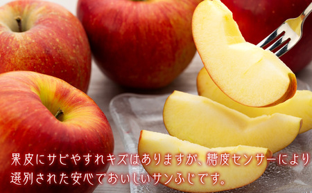 訳あり 先行予約 りんご サンふじ 選べる 4.5kg 9kg フルーツ 果物 傷 規格外 秋 冬 旬 旬のフルーツ 旬の果物 産地直送 信州 長野県産 おやつ デザート スイーツ リンゴ 長野県 2024 2024年 令和6年度発送分