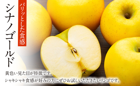 贈答用りんご サンふじ シナノゴールド 約3kg 12玉 (各6玉) りんご リンゴ 林檎 信州りんご 信濃ゴールド 果物 フルーツ 旬の果物 旬のフルーツ デザート 贈答用 ギフト 贈り物 プレゼント 長野 長野県 箕輪町