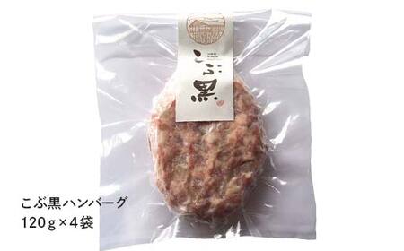北のハイグレード食品セクション受賞 こぶ黒ハンバーグ和牛丼セット F6S-580
