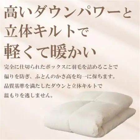 羽毛布団 本掛け布団 (シングル・ブルー) シルク100% 日本製 カバー付き【甲州羽毛ふとん】【1502673】