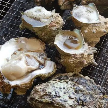 山陰の天然岩ガキ詰合せ(大きさにより5～7個入)　牡蠣は殺菌済　下処理済　生食OK　バーベキュー【配送不可地域：離島・北海道・沖縄県・東北】【1114074】