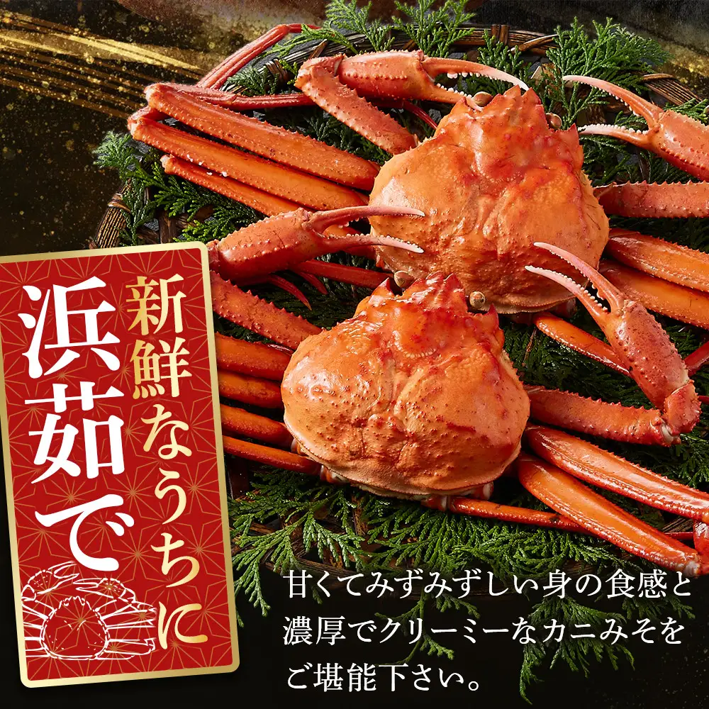 ＜金～日着※指定日不可＞＜7月～9月上旬発送不可＞浜茹ベニズワイガニ足欠(2枚/計約800g以上)