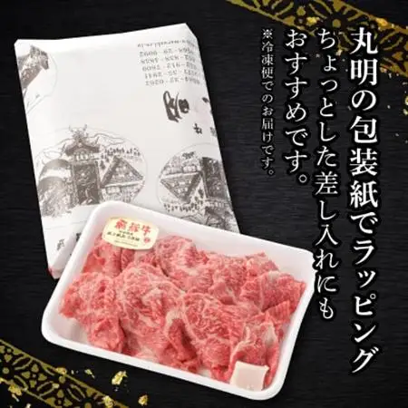 【訳あり】飛騨牛5等級　切り落とし用途いろいろ　500g【配送不可地域：離島】【1034745】