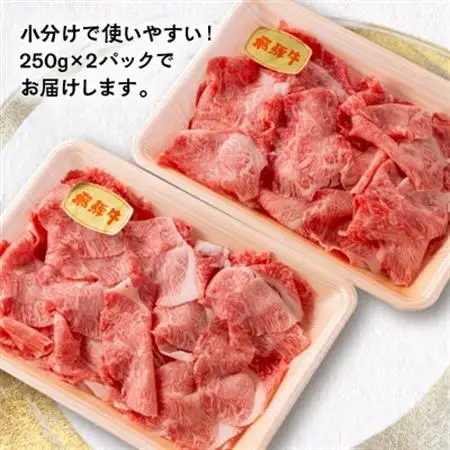 【飛騨牛】　切り落とし　500g入り(250g×2)【配送不可地域：離島】【1418309】
