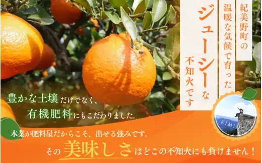 【先行予約】秀品 ハウス不知火 2kg 【M～3Lのサイズおまかせ】【2027年1月下旬から2027年4月上旬頃に順次発送】＜味好農園＞/不知火 デコポン 蜜柑 みかん 柑橘 果物 フルーツ 【agy006-p-2】