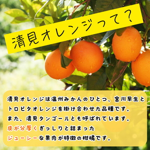 【先行予約】 秀優品 清見オレンジ 3kg 【S～３Lサイズ混合】【2027年3月中旬から2027年4月中旬頃に順次発送】/みかん 清見 和歌山 フルーツ 有田 果物 オレンジ 甘い ジューシー【agy011-r-3】