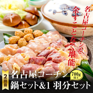 【半年に1回　計2回定期便】名古屋コーチン焼鳥セット・名古屋コーチン鍋&名古屋コーチン1羽分セット[001T09-T] 冷凍鍋 地鶏鍋 コーチン鍋 あったか鍋 焼鳥 おつまみ焼鳥 バーベキュー焼鳥 小分け焼鳥 名古屋コーチン焼鳥 冷凍焼鳥 地鶏焼鳥