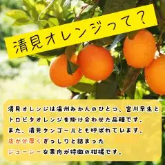 【先行予約】 秀優品 清見オレンジ 10kg 【S～３Lサイズ混合】 【2027年3月中旬から2027年4月中旬頃に順次発送】/みかん 清見 和歌山 フルーツ 有田 果物 オレンジ 甘い ジューシー【agy011-r-10】