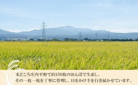 【令和7年産】 井上農場の特別栽培米 つや姫 無洗米 6kg（2㎏×3袋）　K-756　山形県鶴岡市