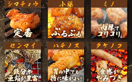 【訳あり】国産牛 ミックスホルモン 計900g（150g × 6袋）シマチョウ・小腸・ハチノス・センマイ・ミノ・タケノコ [e03-a033]