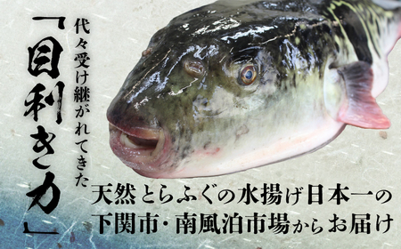 とらふぐ 刺身 4-5人前 130g 冷凍 皮なし 菊盛り ふぐ BV