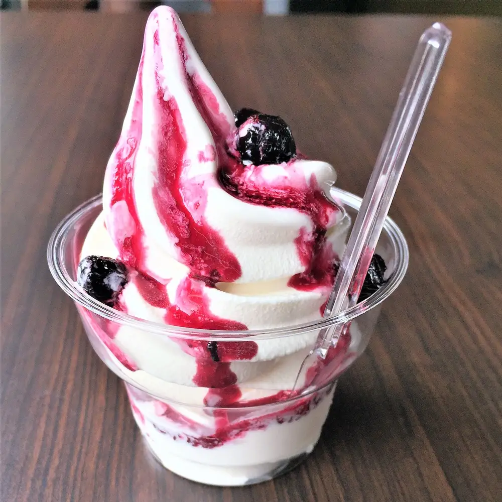 天然フルーツ アロニアベリージャム・ころころソースセット　0008-2201