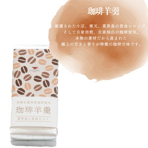ONEDAYコーヒー 珈琲羊羹 セット 粉 ドリップコーヒー ふじ珈琲 下関 BA