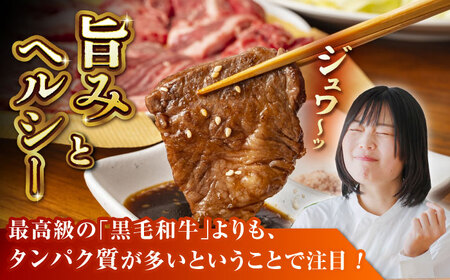 GI認証 くまもとあか牛 焼肉用 約500ｇ【山鹿市（桜屋）】[ZBO055]