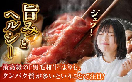 GI認証 くまもとあか牛 すき焼き用 スライス 約500ｇ【山鹿市（桜屋）】[ZBO056]