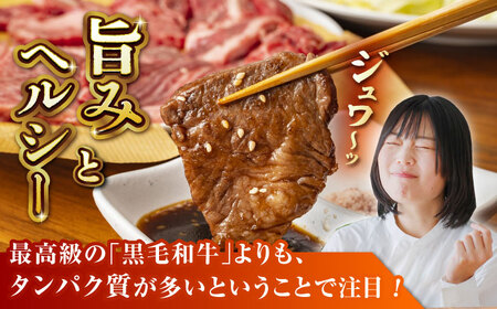【6回定期便】GI認証 くまもとあか牛 焼肉用 約500ｇ【山鹿市（桜屋）】[ZBO063]
