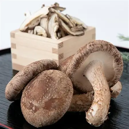 【農福連携】千葉県館山産しいたけセット(生しいたけ110g×2パック・乾燥しいたけ30g×2パック)【配送不可地域：離島・沖縄県】【1486713】