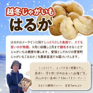 【先行受付】【2026年4月より順次発送】北海道十勝芽室町　なまら十勝野　越冬じゃがいも　はるか　5kg　芋 ジャガイモ ポテト イモ いも 産地直送 新鮮 野菜 常温配送 送料無料 北海道 十勝 芽室町me001-028c