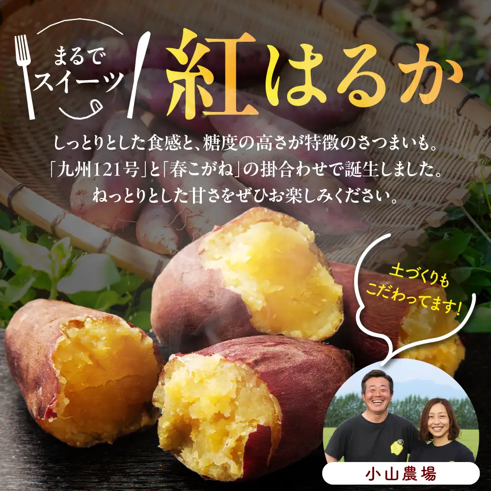 【先行受付】【12月以降発送】北海道十勝芽室町 なまら十勝野 芽室町産さつまいも【紅はるか】５㎏ 国産 北海道産 さつま芋 野菜 常温配送 送料無料 北海道 十勝 芽室町me001-029c