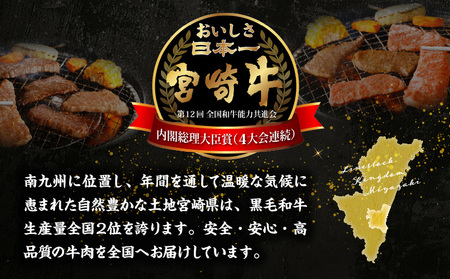 牛肉 宮崎牛 ウデ 赤身 焼肉 700g 牛肉