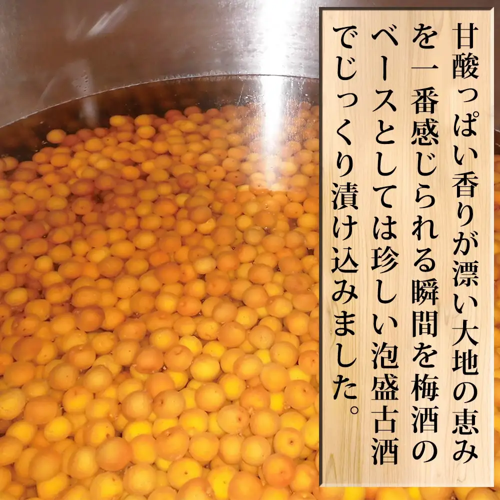 紀州南高梅本格梅酒 MORIKAWA 720ml  mrkwnou001A【mrkwnou001A】