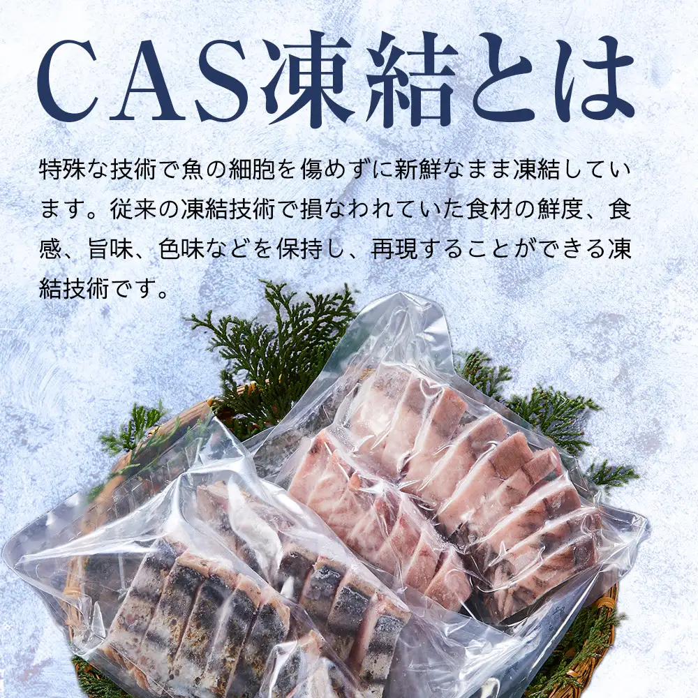 白浜日帰り鰹刺身 約200g たたき 約200g 満足セット