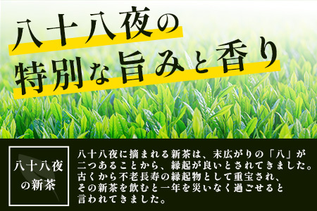 うれしの茶　特上玉緑茶　2本入　詰め合わせ　B-751
